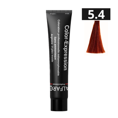 COLOR-EXPRESSION 5.4
